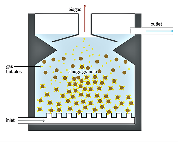 Upflow Anaerobic Sludge Blanket (UASB) reactor 