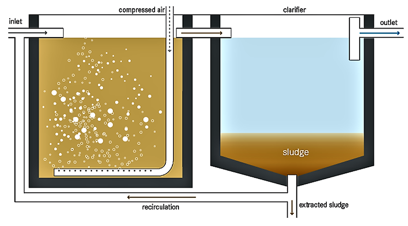 activated sludge system1
