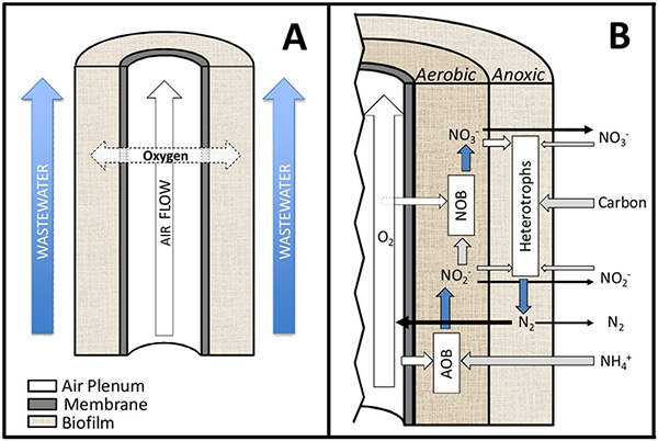 Membrane Aerated Biofilm Reactors (MABR)