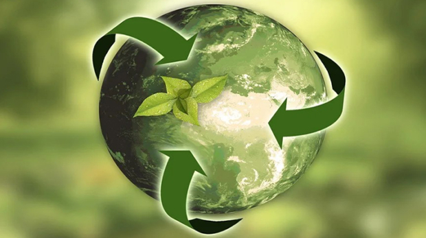 environmental waste management services