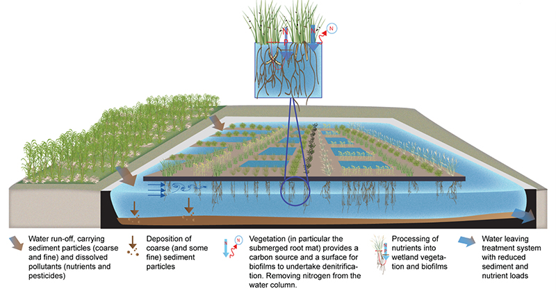 Algae wastewater treatment