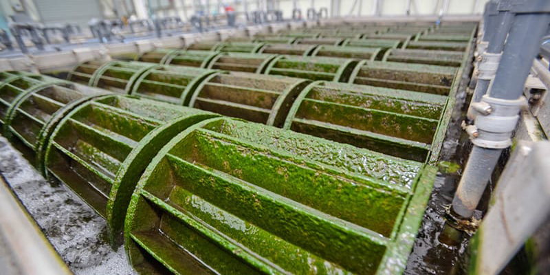 Algae Wastewater Treatment