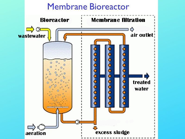 Biological Treatment